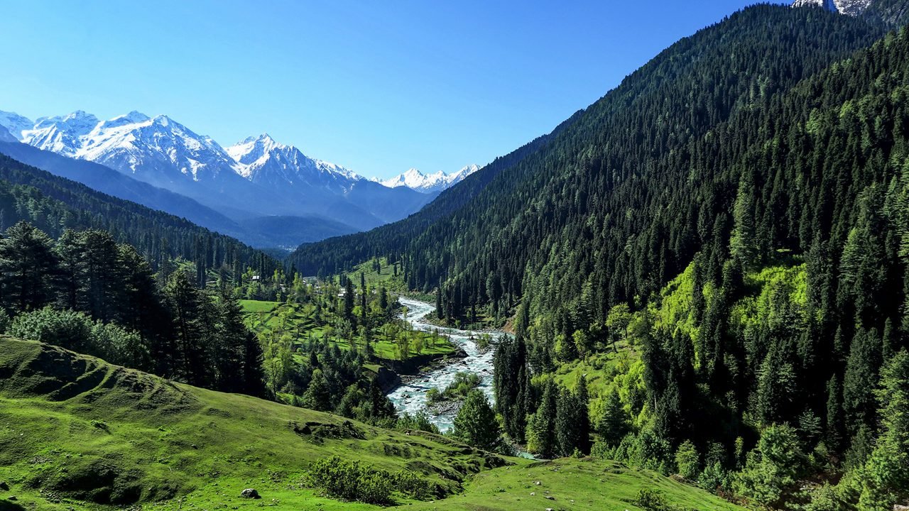 Summer in Pahalgam