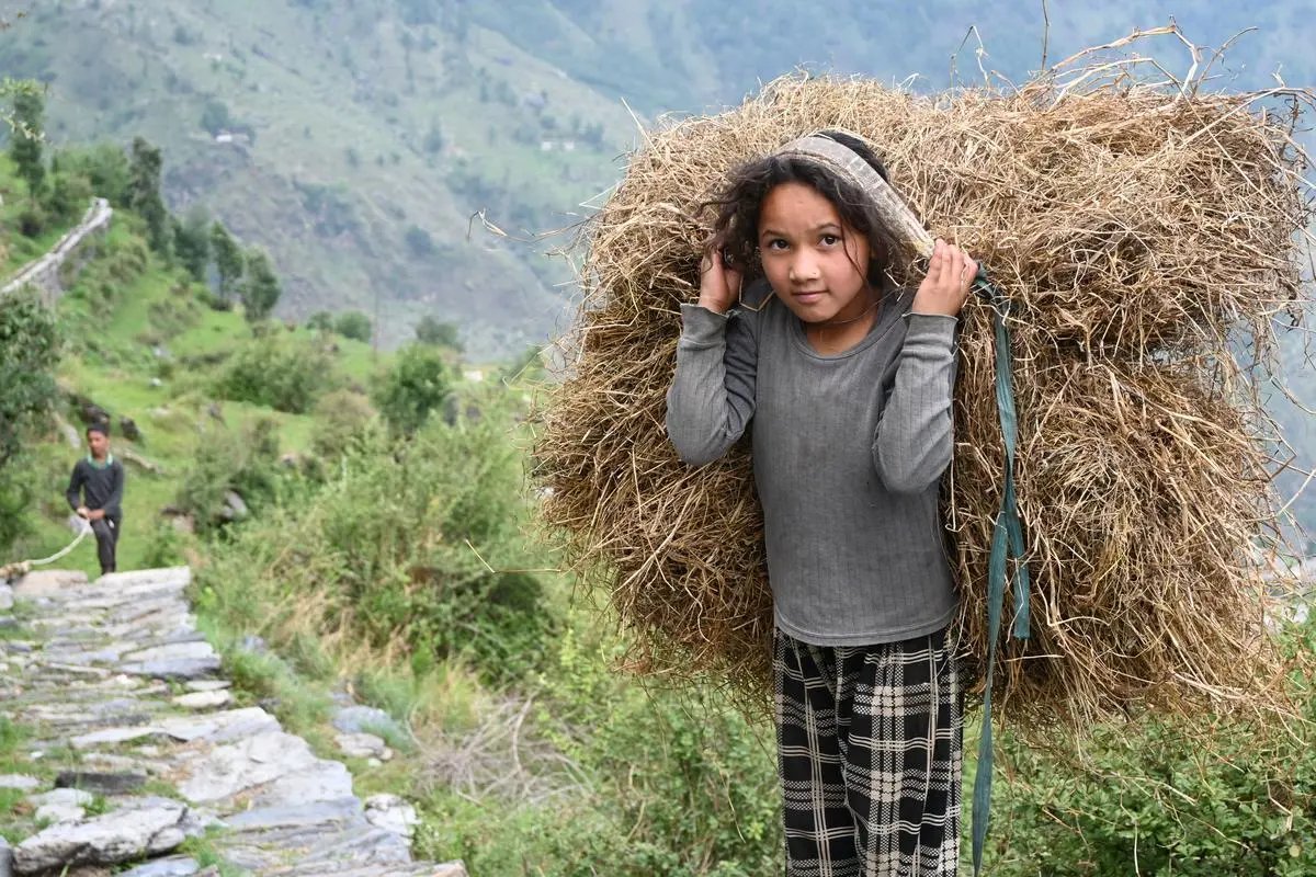 Mountain Village — Uttarakhand
